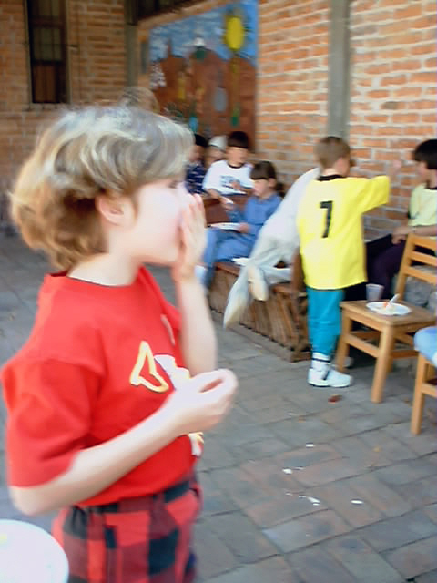 fiesta12-e.jpg